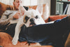 Dog relaxing on owners legs