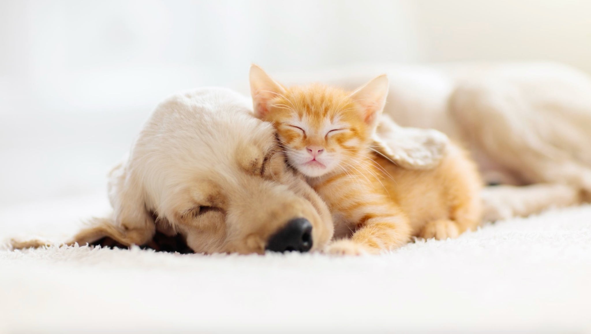 DeepMarine Collagen - How Covid-19 is affecting your sleep